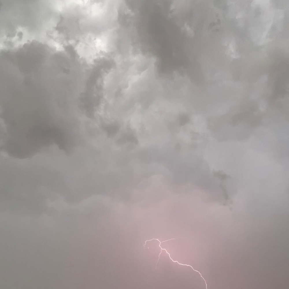 Meet your Posher, Annie